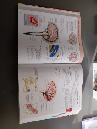 Fisiología Humana (Spanish Edition)