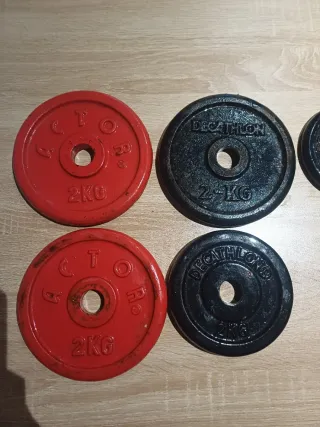 Lote discos de pesas