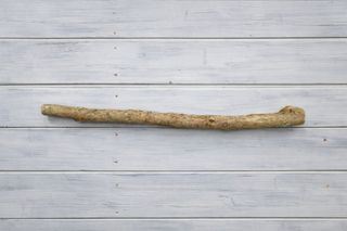 Madera de Boj Buxus 71,5 cm