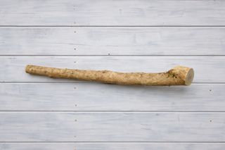 Madera de Boj Buxus 71,5 cm