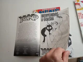 Manga español 90s