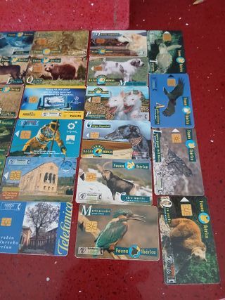 40 Carte Telefoniche Spagna Collezione