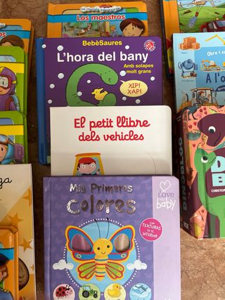 Lote de 12 libros educativos en Español y Català