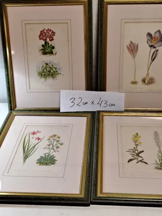 4 Cuadros de Flores Vintage