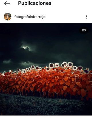 Canon 6D Modificada IR (Infrarrojos)
