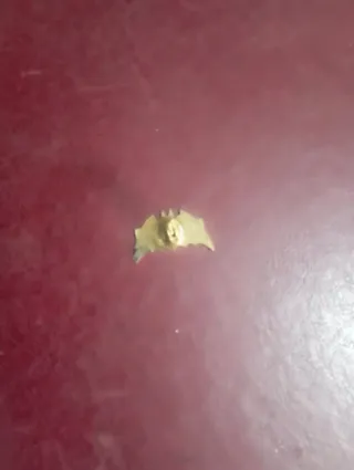 Spilla Batman Logo Oro e Rosso