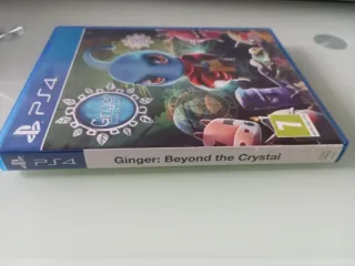 Ginger PS4