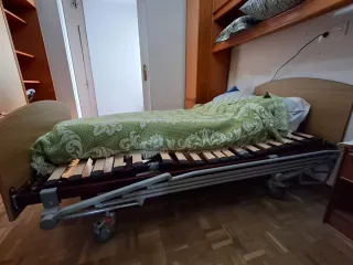 Cama articulada eléctrica hospitalaria