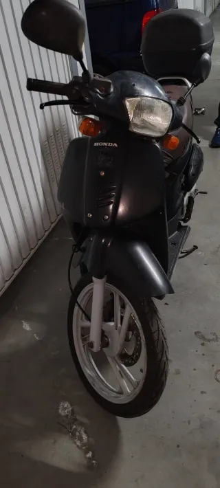 Scoopy 49cc Automática