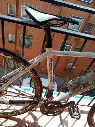 Bicicleta Focus Arriba