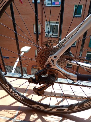 Bicicleta Focus Arriba