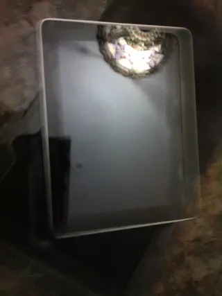 iPad Mini Negro y iPad normal