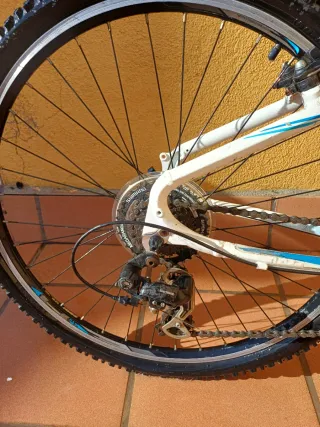 Bicicleta Orbea Aluminio