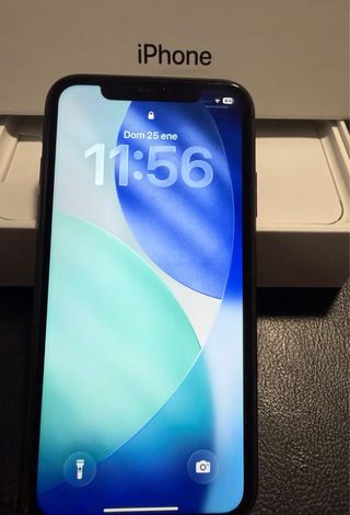 iPhone 11 256 GB Negro