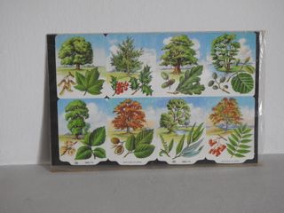 Lámina cromos troquelados árboles