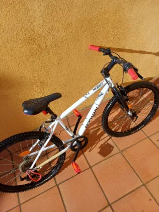 Bicicleta Infantil B'TWIN Rockrider 20 Aluminio