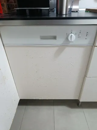 Lavavajillas panelado