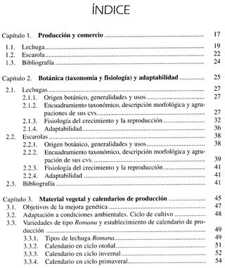 LA LECHUGA Y LA ESCAROLA. HUERTO. CULTIVO. PLANTAS