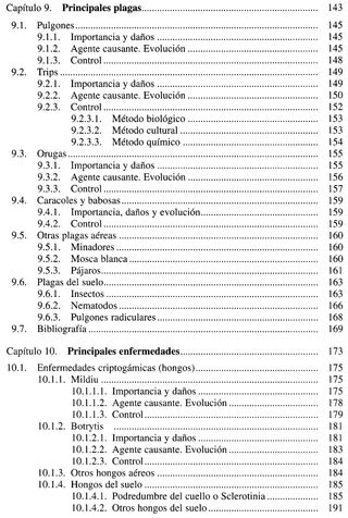 LA LECHUGA Y LA ESCAROLA. HUERTO. CULTIVO. PLANTAS