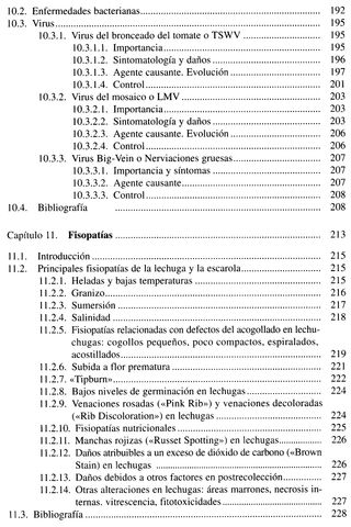 LA LECHUGA Y LA ESCAROLA. HUERTO. CULTIVO. PLANTAS