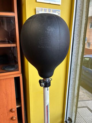 Punching Ball Salter Entrenamiento