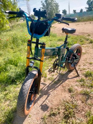 Bicicleta Eléctrica Fiido