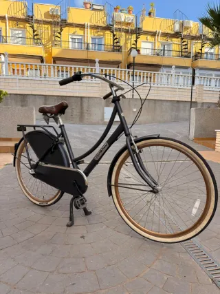 Bicicleta Daily Duch Popal