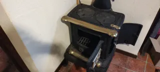 Chimenea de Hierro Fundido Salamandra