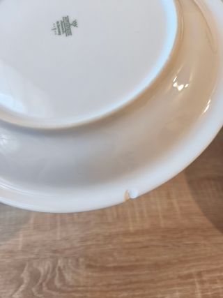 Vajilla Mitterteich Bavaria 50 piezas