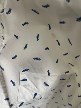 Camisa Springfield Estampada Talla M