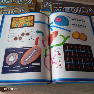 Gran Enciclopedia Médica