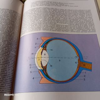 Gran Enciclopedia Médica