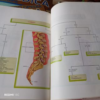 Gran Enciclopedia Médica