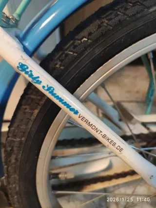 Bicicleta Infantil Vermont Girly Blue 18