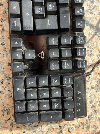 Teclado Trust Negro con Cable