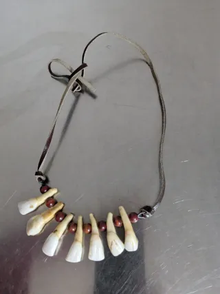 Collana con denti e perline