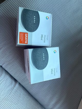 2 Google Home Mini