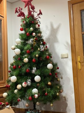 Árbol de Navidad sin adornos