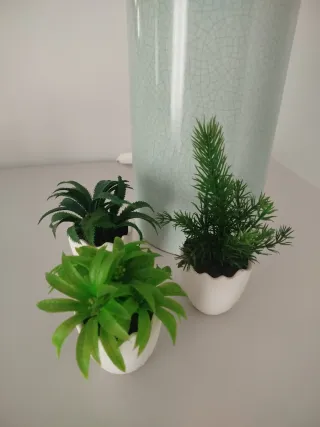 Macetas decorativas verdes y blancas