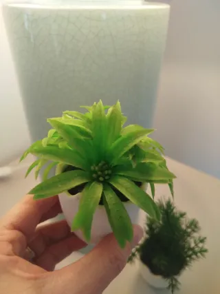 Macetas decorativas verdes y blancas