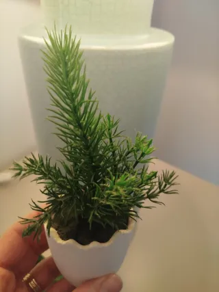 Macetas decorativas verdes y blancas