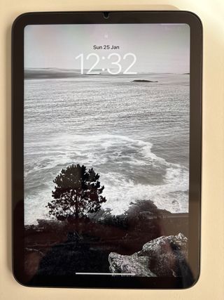 iPad mini 6ª Gen Grigio Siderale