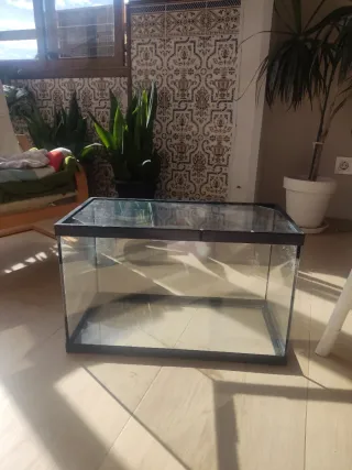 Acuario Rectangular Negro