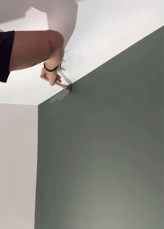 PINTOR ALICANTE Y ZONA