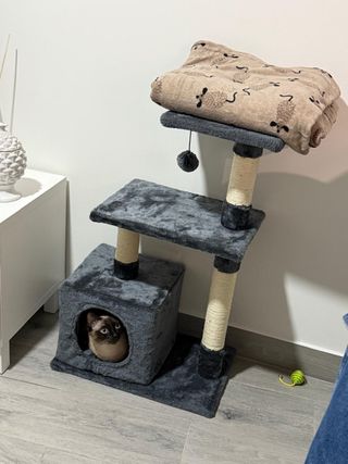 Arranhador para gatos com vários níveis