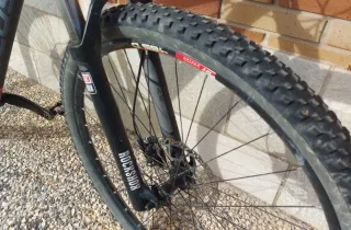 Bici MTB Focus Black Forest 29R