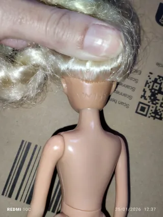 Barbie Skipper vintage