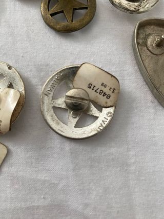 Lote de 10 Apliques y Hebillas Estilo Western