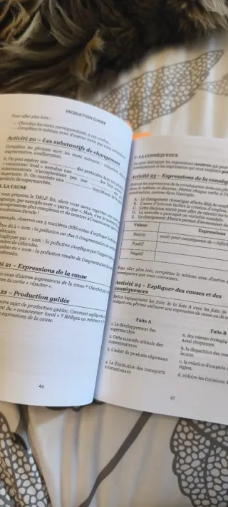 Libro Production Écrite DELF B2.