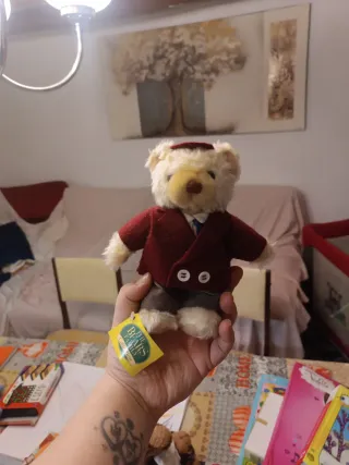 Coleccion teddy bear